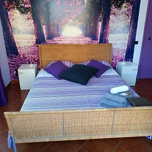 Claudia A Monteverde Bed & Breakfast Rome